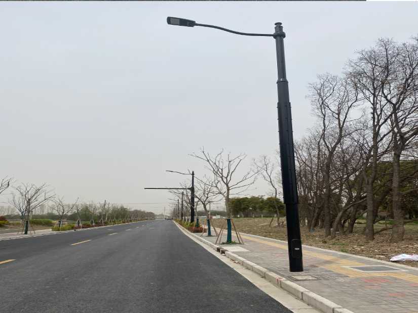 新市区上海综合杆 太阳能路灯工程